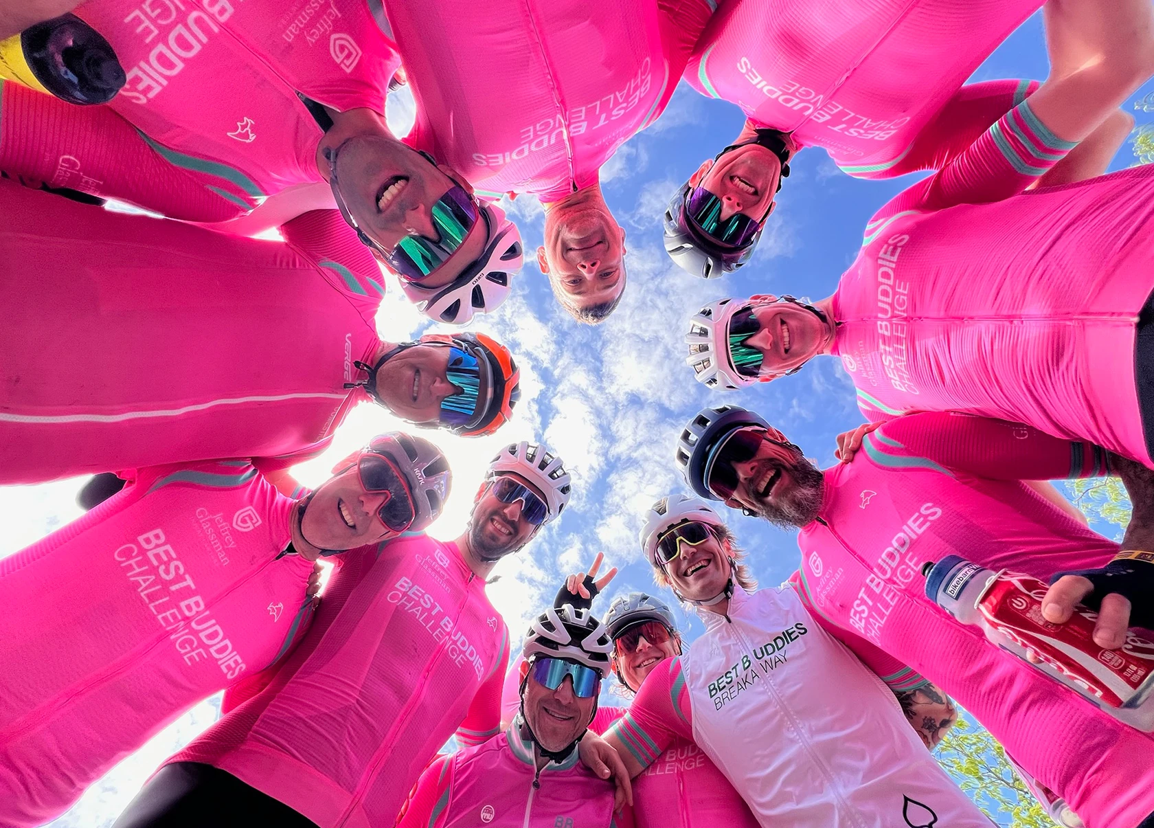 Group of Domestiques