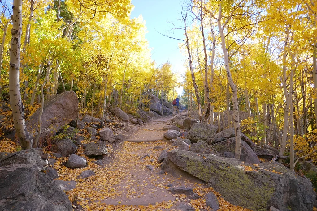 Aspen hiking trail
